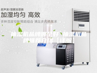 企业新闻抽湿机品牌哪个好 抽湿机品牌推荐介绍【详解】