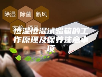 常见问题恒温恒湿试验箱的工作原理及保养注意事项