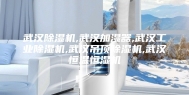 武汉除湿机,武汉加湿器,武汉工业除湿机,武汉吊顶除湿机,武汉恒温恒湿机