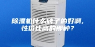 除湿机什么牌子的好啊,性价比高的那种？