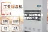 防潮垫什么材质好 防潮垫真的防潮吗 防潮垫怎么铺
