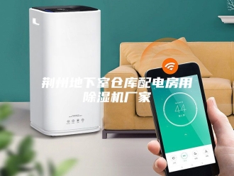 行业新闻荆州地下室仓库配电房用除湿机厂家