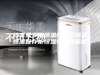 常见问题档案室专用恒温恒湿柜恒温恒湿保存柜恒温恒湿储藏柜