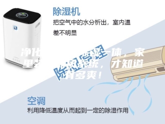 知识百科净化+加湿+除湿一体，家里装了新风系统，才知道有多爽！