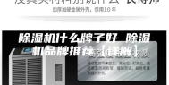 除湿机什么牌子好 除湿机品牌推荐【详解】