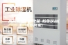 高低温湿热老化箱-柏舍仪器(推荐商家)