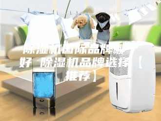 企业新闻除湿机国际品牌哪个好 除湿机品牌选择【推荐】