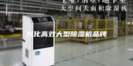 兴化高效大型除湿机品牌