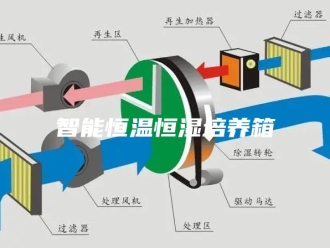 常见问题智能恒温恒湿培养箱