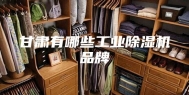 甘肃有哪些工业除湿机品牌
