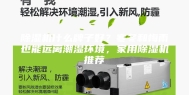 除湿机什么牌子好？寒冬和梅雨也能远离潮湿环境，家用除湿机推荐