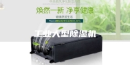 工业大型除湿机