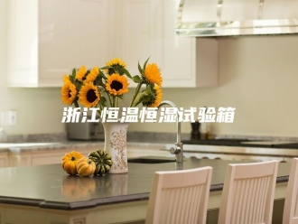 常见问题浙江恒温恒湿试验箱