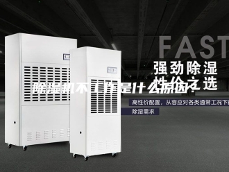 企业新闻除湿机不工作是什么原因？