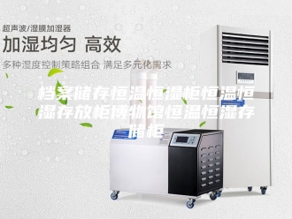 常见问题档案储存恒温恒湿柜恒温恒湿存放柜博物馆恒温恒湿存储柜