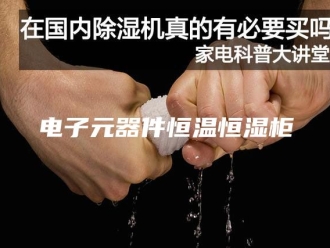 常见问题电子元器件恒温恒湿柜