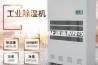 除湿机空气净化器选购技巧
