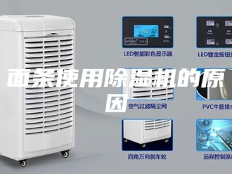 企业新闻面条使用除湿机的原因