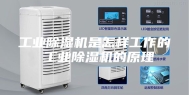 工业除湿机是怎样工作的 工业除湿机的原理