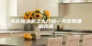天花除湿机之大介绍—天花除湿机介绍