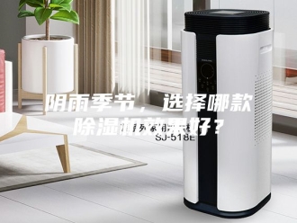 企业新闻阴雨季节，选择哪款除湿机效果好？