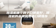 除湿机哪个牌子口碑最好，除湿机的品牌消费者口碑推荐