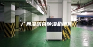 广西灌阳县除湿机销售