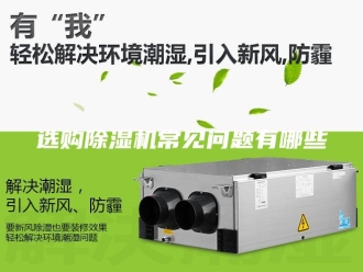 企业新闻选购除湿机常见问题有哪些