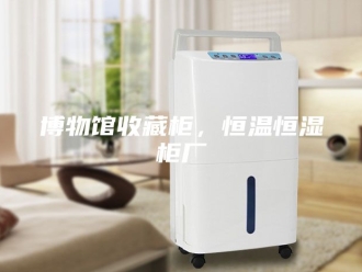 知识百科博物馆收藏柜，恒温恒湿柜厂