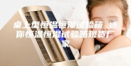 桌上型恒温恒湿试验箱 迷你恒温恒湿试验箱现货厂家
