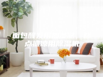 企业新闻面包醒发用加湿器，糕点摊凉用除湿机