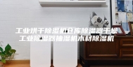 工业烘干除湿机仓库除湿器干燥工业除湿器抽湿机木材除湿机