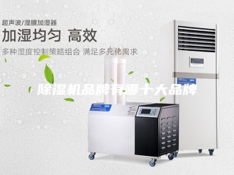 企业新闻除湿机品牌有哪十大品牌