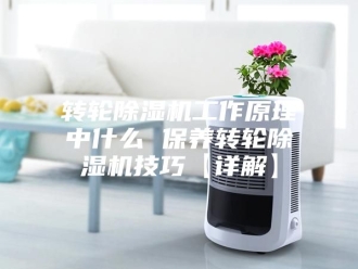 企业新闻转轮除湿机工作原理中什么 保养转轮除湿机技巧【详解】
