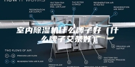 室内除湿机什么牌子好（什么牌子艾条好）