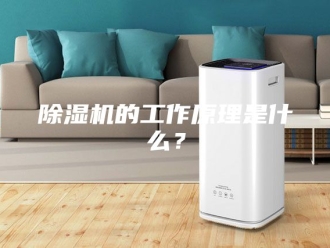 企业新闻除湿机的工作原理是什么？
