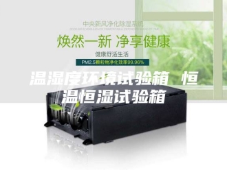 常见问题温湿度环境试验箱 恒温恒湿试验箱