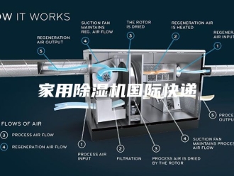 行业新闻家用除湿机国际快递