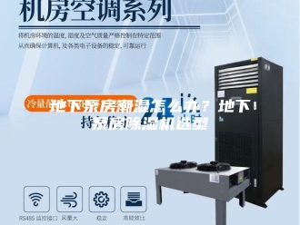行业新闻地下泵房潮湿怎么办？地下泵房除湿机选型