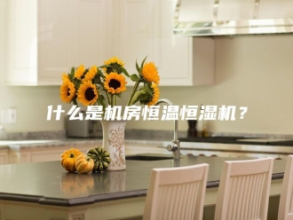知识百科什么是机房恒温恒湿机？