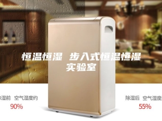 常见问题恒温恒湿 步入式恒温恒湿实验室