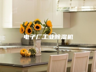 行业新闻电子厂工业除湿机