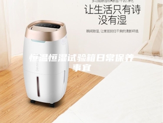 常见问题恒温恒湿试验箱日常保养事宜