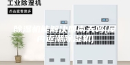 除湿机能解决回南天吗(屋内返潮除湿机)