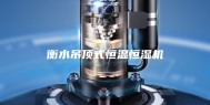 衡水吊顶式恒温恒湿机