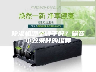 企业新闻除湿机哪个牌子好？噪音小效果好的推荐