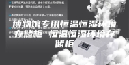 博物馆专用恒温恒湿环境存储柜 恒温恒湿环境存储柜