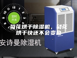行业新闻菊花烘干除湿机，菊花烘干快还不会变色