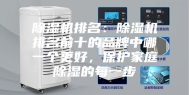 除湿机排名：除湿机排名前十的品牌中哪一个更好，保护家庭除湿的每一步
