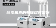 除湿机真的有除湿效果吗？